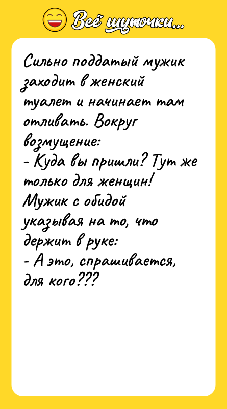Сильно поддатый мужик заходит в женский туалет и начинает там
