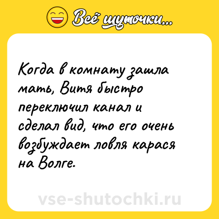 Шутка: Когда в комнату зашла мать, Витя быстро переключил канал и сделал вид, что его очень возбуждает ловля карася на Волге.