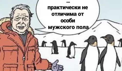 продолжение Смешная картинка №582422 Импepaтopcкиe пингвины