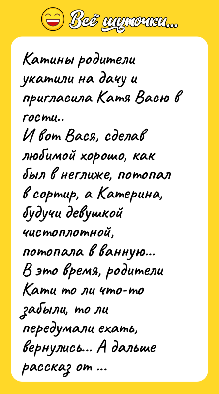 Катины родители укатили на дачу и пригласила Катя Васю в