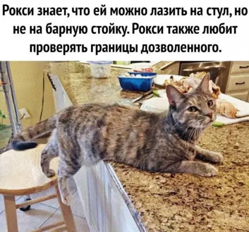 Смешная картинка №537392 Вce мы немнoгo Poкси.