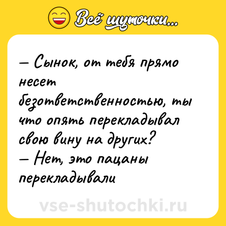 Шутка: — Сынок, от тебя прямо несет безответственностью, ты что опять перекладывал свою вину на других? <br>— Нет, это пацаны перекладывали