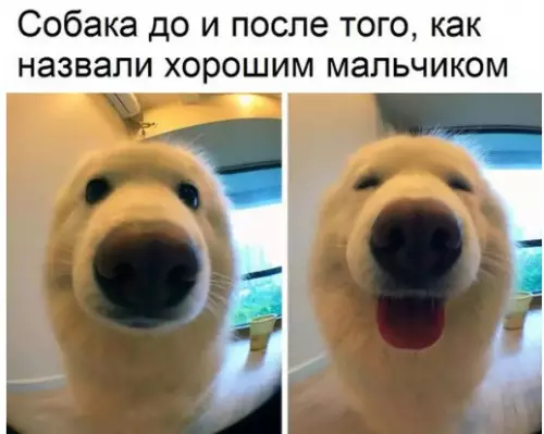 Смешная картинка №242812