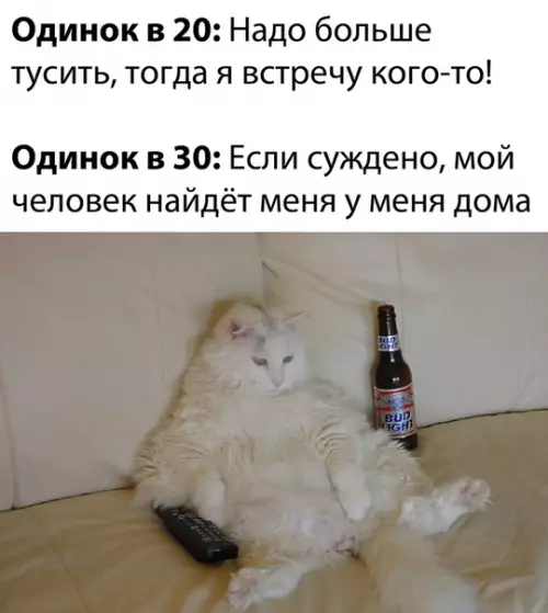 Смешная картинка №525006