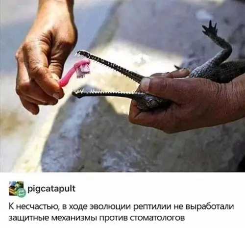 Смешная картинка №666461