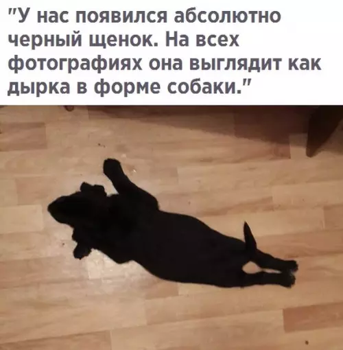 Смешная картинка №280533
