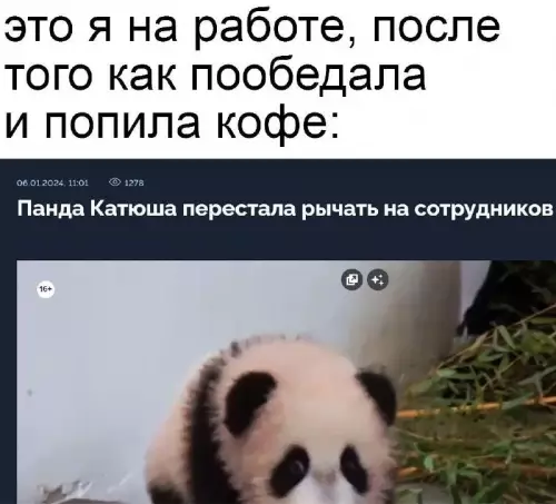 Когда кофе наконец-то подействовал 🐼☕️ - это я на работе, после того как пообедала и попила