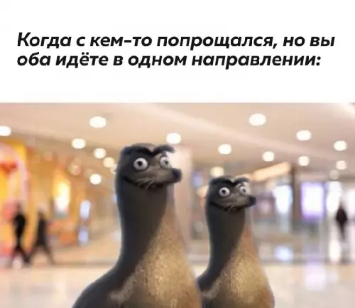 Смешная картинка №675204