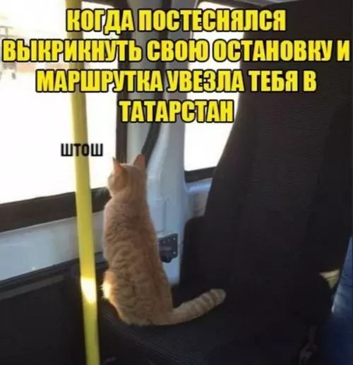 Смешная картинка №609789