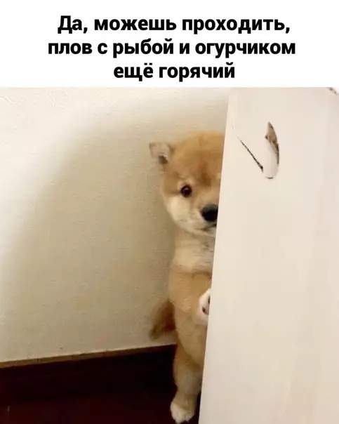 продолжение Смешная картинка №575948