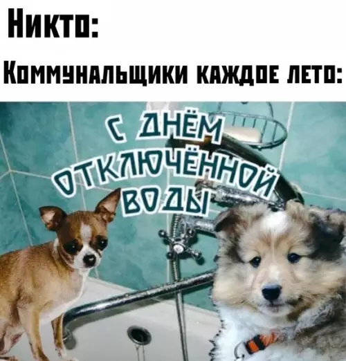 Смешная картинка №510485 Спасибо