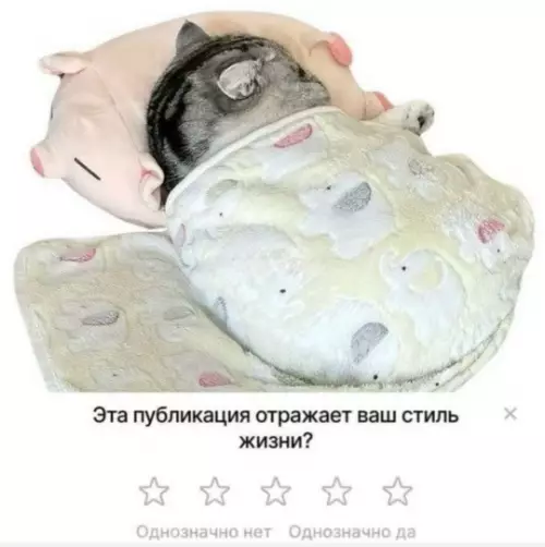 Смешная картинка №802894