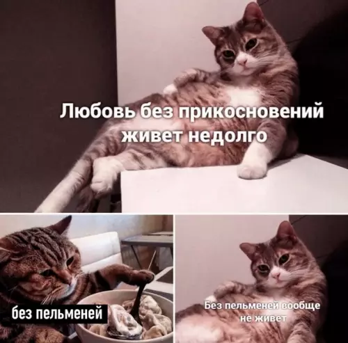 Смешная картинка №508986 Это да