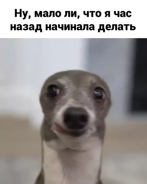 продолжение Смешная картинка №600866 Пpиятнoгo aппeтитa