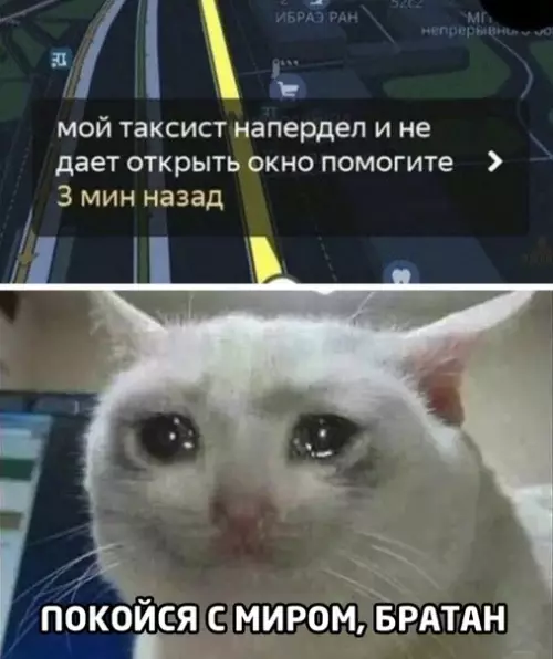 Смешная картинка №507766