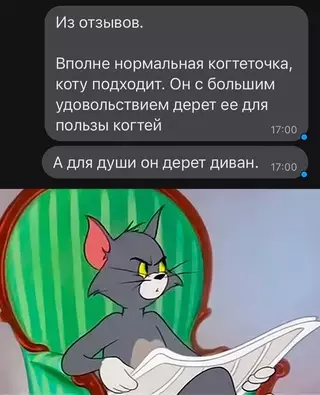 Смешная картинка №668300 Коты