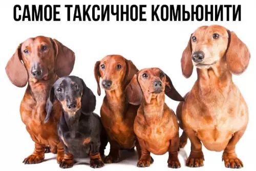 Смешная картинка №758659