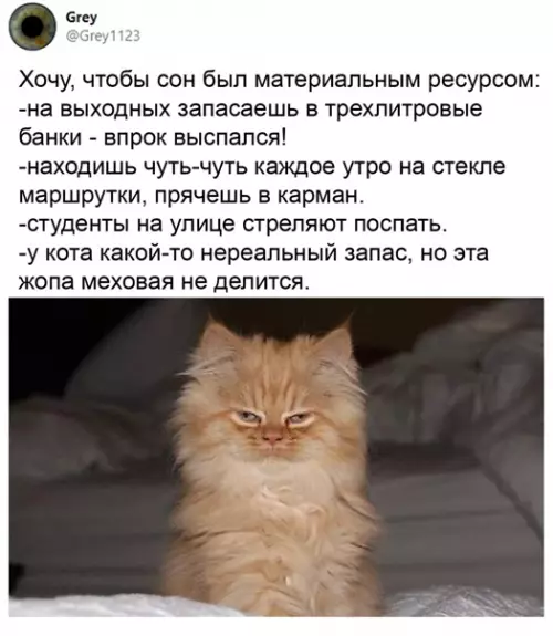 Смешная картинка №543839 Интересно