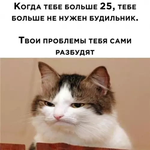 Смешная картинка №546099