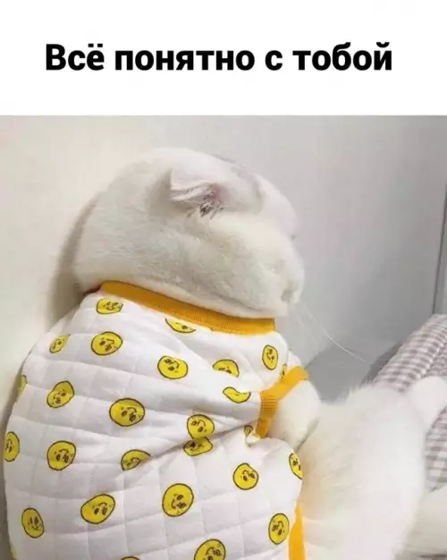 продолжение Смешная картинка №716660 Woman mоment