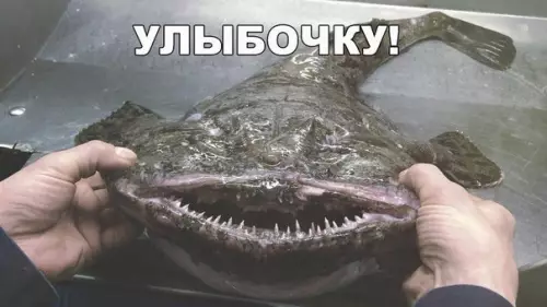 Смешная картинка №277234