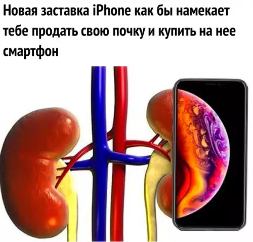 Смешная картинка №302641 С такими ценами одной почки уже не хватит
