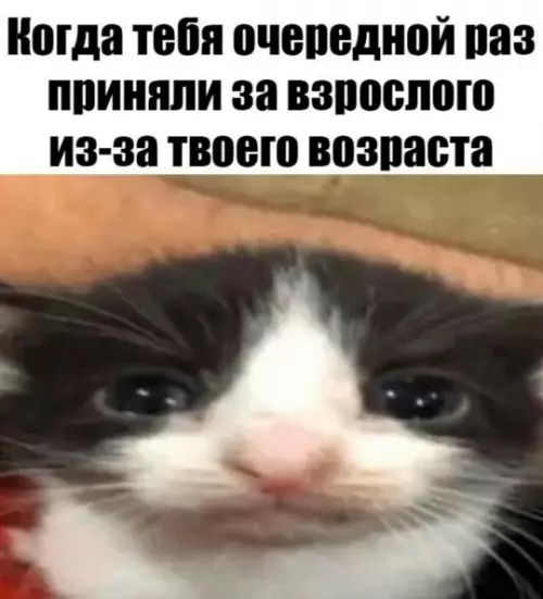 Когда внезапно стал взрослым 😿 - Когда тебя очередной раз приняли за взрослого из-за твоего возраста