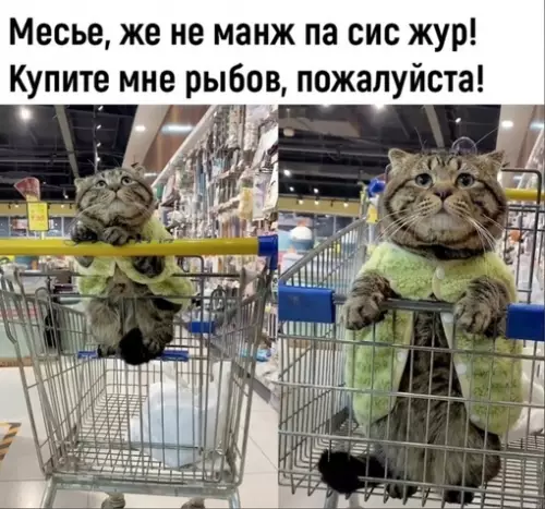 Смешная картинка №682862