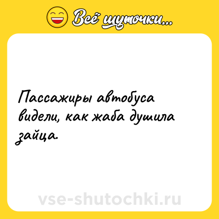 Шутка: Пассажиры автобуса видели, как жаба душила зайца.