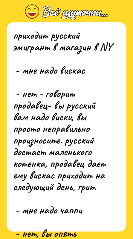 приходит русский эмигрант в магазин в NY -