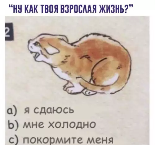 Смешная картинка №219192