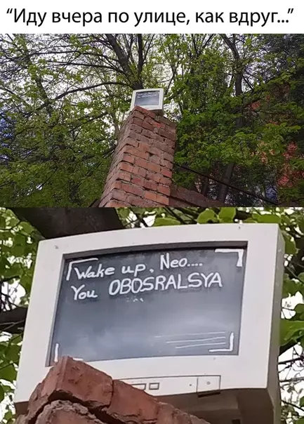 Смешная картинка №490369