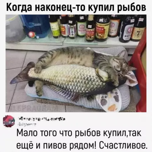 Смешная картинка №652649
