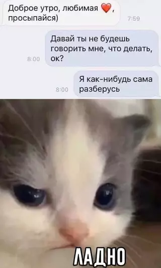 Смешная картинка №674248