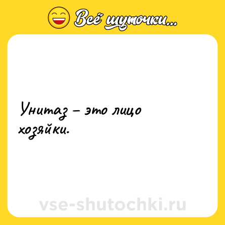 Шутка: Унитаз – это лицо хозяйки.