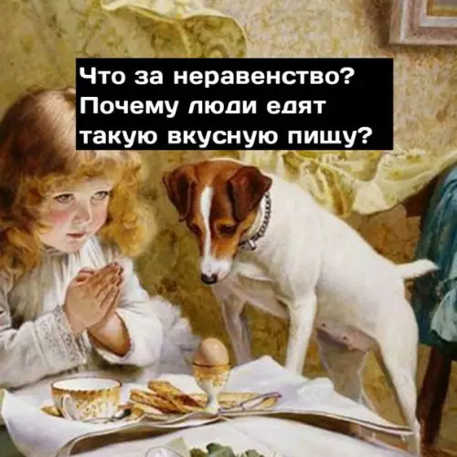 Смешная картинка №215049