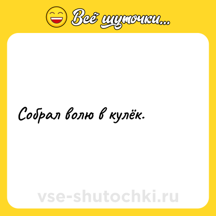Шутка: Cобрал волю в кулёк.