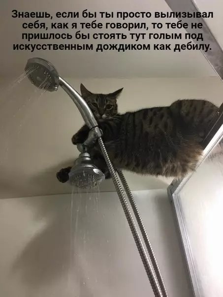 Смешная картинка №594093 Бывает, стоишь, принимаешь душ, как вдруг...