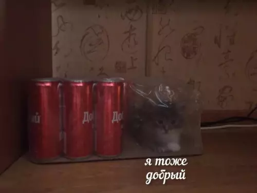 Смешная картинка №752978 Верим