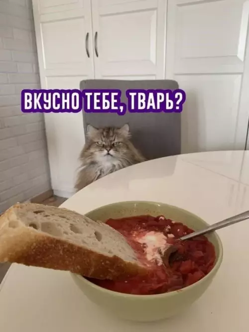 Смешная картинка №601841 Доброе утро?