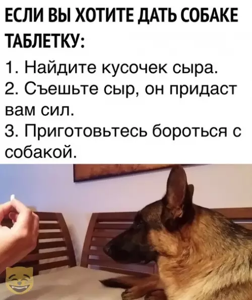 Смешная картинка №370405 #приколы #картинки #мемы ?