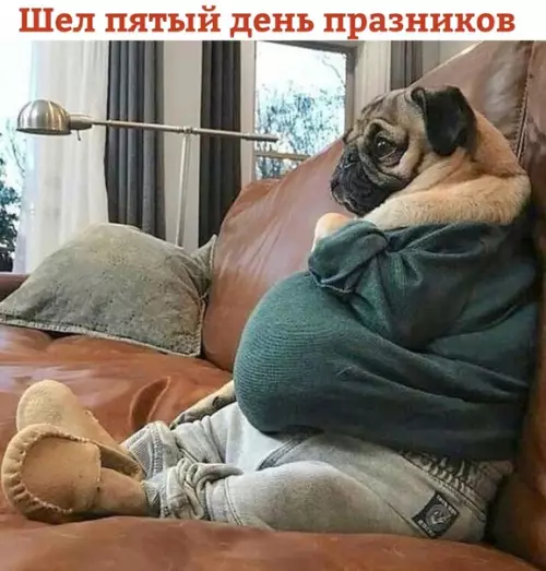 Смешная картинка №438396