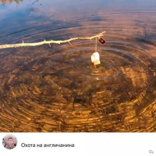 Смешная картинка №275241
