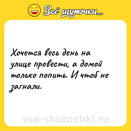 Шутка: Хочется весь день на улице провести, а домой только попить. И чтоб не загнали.