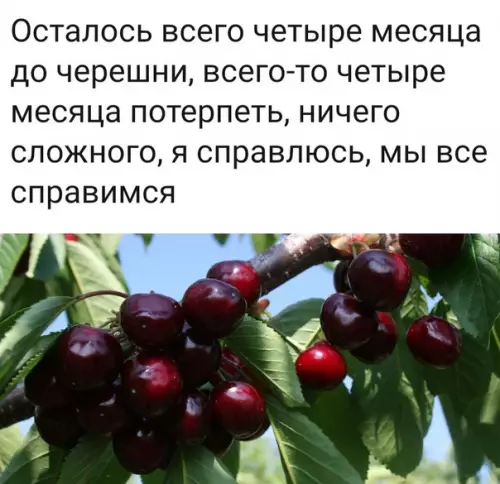 Смешная картинка №467327 Мы справимся!