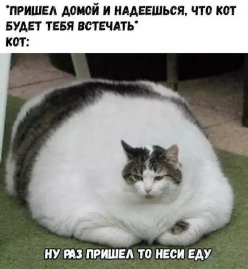 Смешная картинка №463278