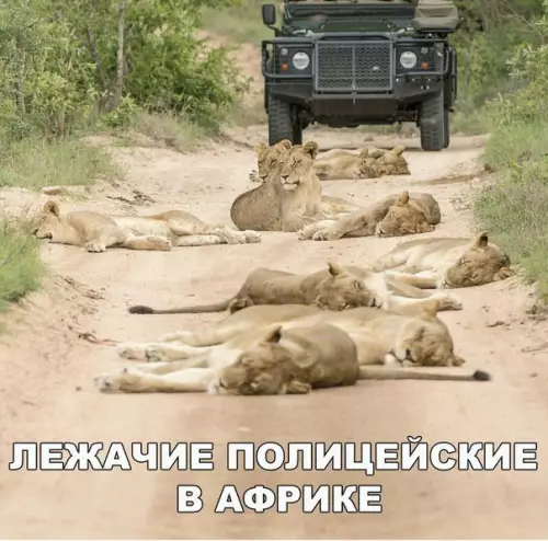 Смешная картинка №261473