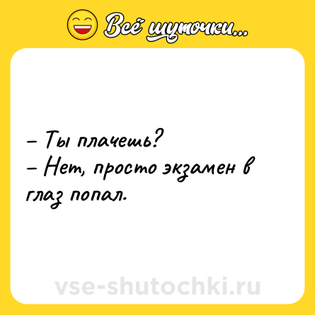 Шутка: – Ты плачешь?<br>– Нет, просто экзамен в глаз попал.