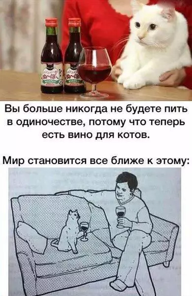 Смешная картинка №185137