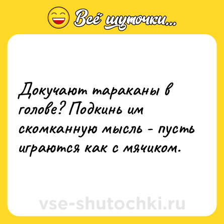 Шутка: Докучают тараканы в голове? Подкинь им скомканную мысль - пусть играются как с мячиком.